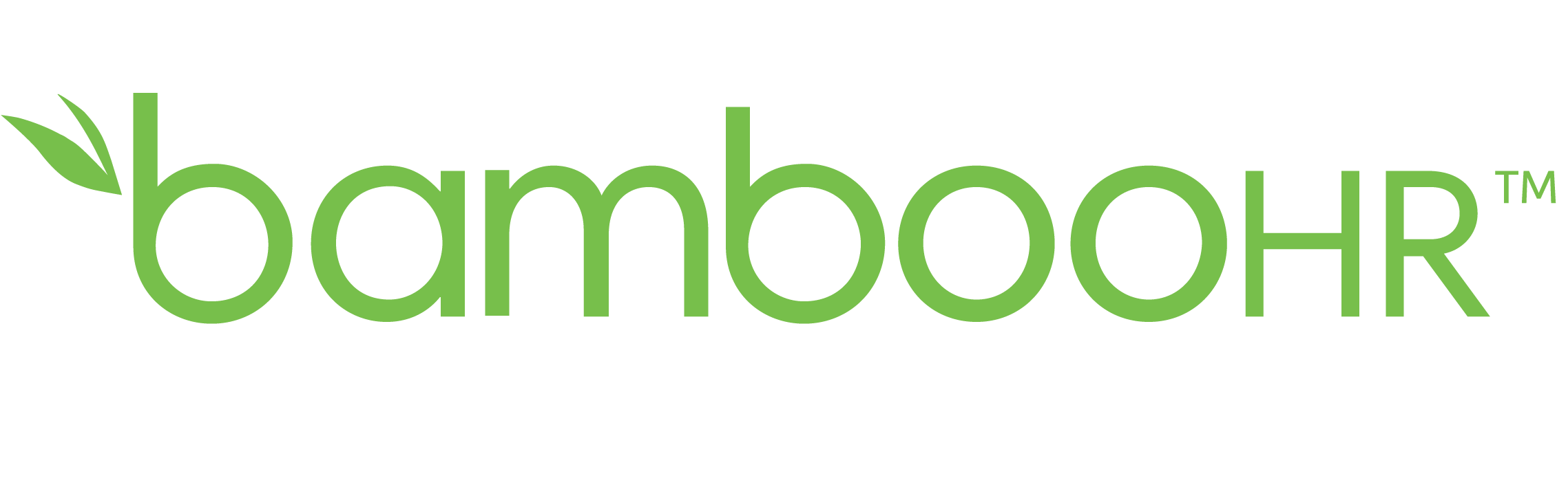 Bamboo
