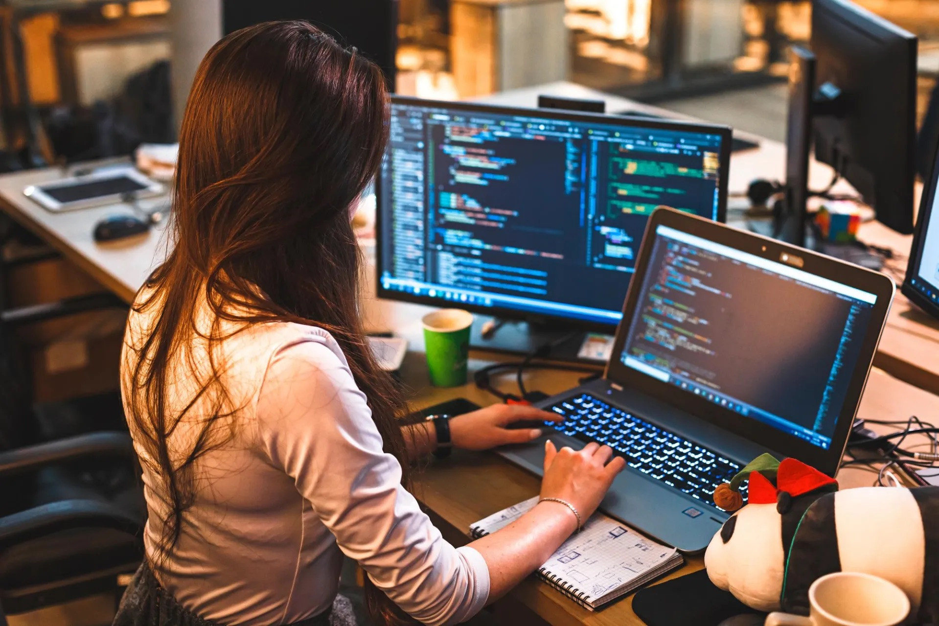 Front-End Developer Professional Certificate